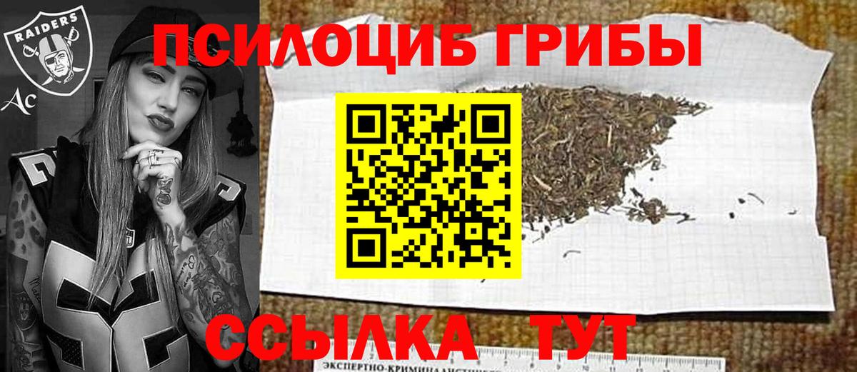 Псилоцибиновые грибы ЛСД  Вход с VPN  Тайшет  Галлюциногенные грибы MAGIC MUSHROOMS 