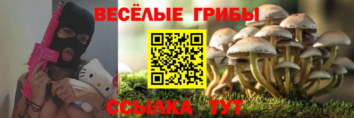 Галлюциногенные грибы MAGIC MUSHROOMS Тайшет